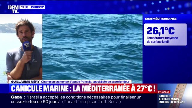 Canicule marine: C'est le vivant qui trinque (...) c'est absolument dramatique , déplore Guillaume Néry (champion du monde d'apnée français)