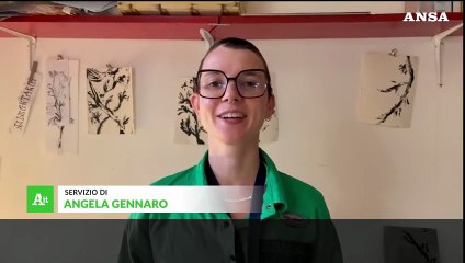 Roma, torna Bande de Femmes, festival femminista di fumetto e illustrazione