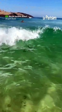 Un manchot nage avec des baigneurs sur une plage de Rio