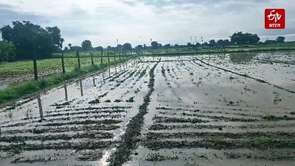 अजमेर, ब्यावर व भीलवाड़ा में झमाझम, स्कूलों में करनी पड़ी छुट्टियां, रास्ते रुके