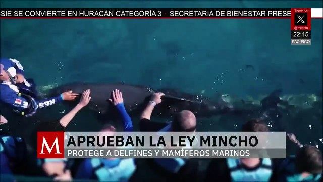 Prohíben en México el uso de delfines y lobos marinos en shows públicos
