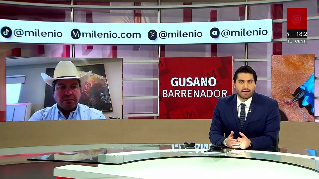 Investigan el móvil del feminicidio de la regidora de San Juan Chamula, Chiapas