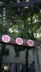 The Fake Sister's Game full movie