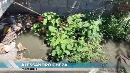 Fogne in mare, liquami a Pistunina