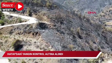 Hatay'daki orman yanıgnı kontrol altında