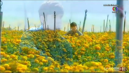 Ánh Dương Tình Yêu Phần 2 - Tập 23 (Roy Fun Tawan Duerd)