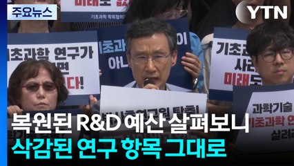 R&D 예산 복원?...예산 뜯어보니 기초연구자들 '부글' / YTN