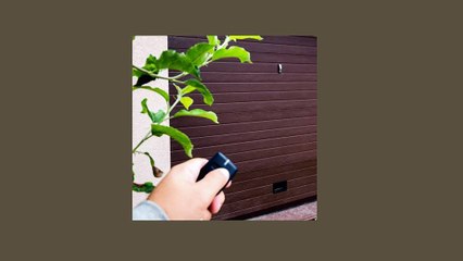 ProfessorFix - Garage Door Solutions That Work - Orlando