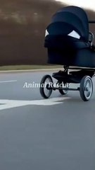 "Tossed Away Like Trash… Until a Stranger Changed Everything 💔❤️"