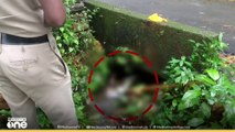 കോട്ടയം തിടനാടിന് സമീപം മൂന്നാം തോട്ടിൽ കലുങ്കിനടിയിൽ കുരുങ്ങിയ നിലയിൽ മൃതദേഹം കണ്ടെത്തി