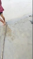Causas y Consecuencias de la Muerte de Peces en el Río Grande 🐟