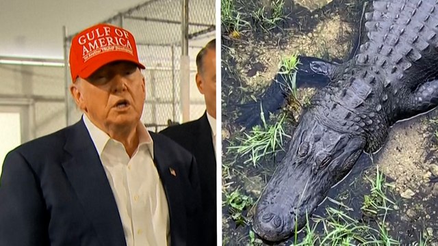 « Alcatraz des alligators » : 3 choses à savoir sur le centre de rétention pour migrants en Floride