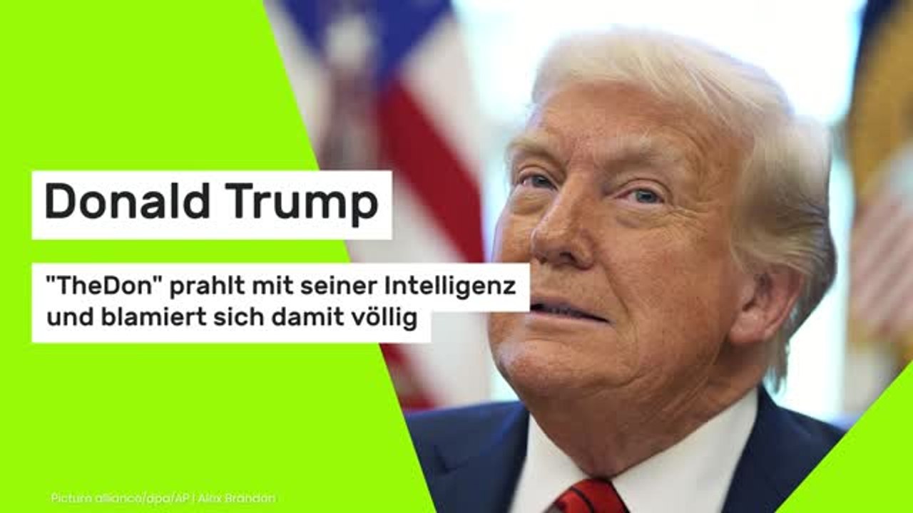 Donald Trump: 'The Don' prahlt mit seiner Intelligenz und blamiert sich damit völlig