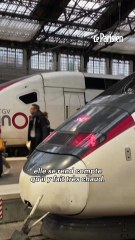 Son chat fait un malaise à cause de la chaleur dans un TGV