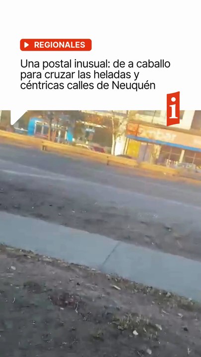 🐴 Una postal inusual en las calles neuquinas