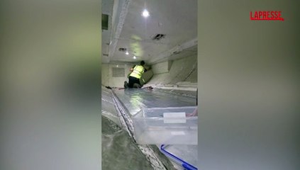 Serpente a bordo: volo ritardato di due ore