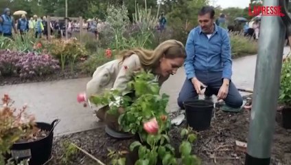 La principessa Kate pianta rose in un centro di cura per il cancro