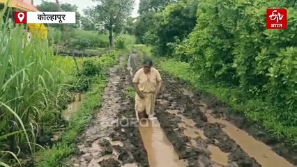 रस्ता नसल्यानं रुग्णांना बैलगाडीचा आधार, तर गुडघाभर चिखलामुळं विद्यार्थी शाळेत जाण्यास देतायेत नकार; मंत्री महोदय हसन मुश्रीफ साहेब हे बरं नव्हं