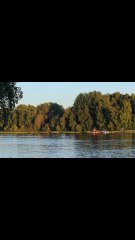 تلاوة من الذكر الحكيم