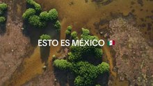 Mexico’s Wild Beauty: Discover the Heart of Nature🇲🇽