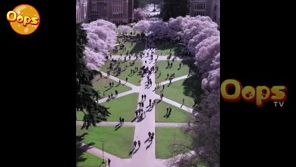 B-A.B-Y P-L.E-A.S-E D-O.N't M-A.R-R.Y H-I.M - Free Movie