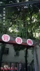 The Fake Sister’s Game Multi Sub – Full HD Movie [English Sub] | Watch Till The End