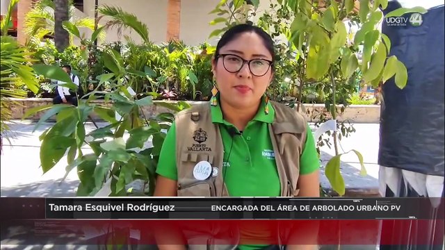 Buscan entregar mil árboles en Puerto Vallarta y crear conciencia ciudadana sobre su cuidado