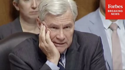 Sheldon Whitehouse Questions Witnesses About Possible Insurance Crisis Due To Climate Change