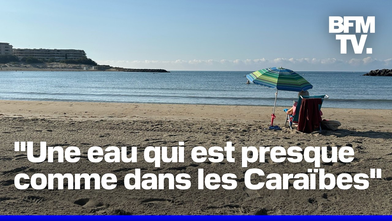 ROBIN DE BFM - Nouveau record de chaleur pour la mer Méditerranée