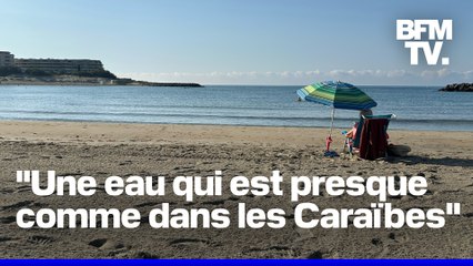 ROBIN DE BFM - Nouveau record de chaleur pour la mer Méditerranée