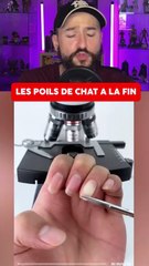 DES BAILS AU MICROSCOPE !