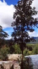 Suspende Cherán K'eri, Michoacán, toda actividad pública tras ataque armado