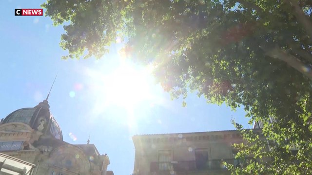 Canicule en France : vers une baisse des températures après plusieurs jours de chaleur extrême