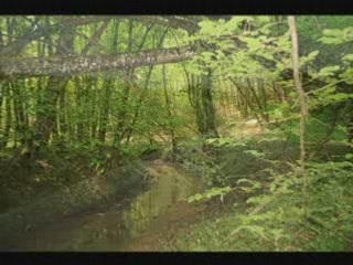 Randonnée à  Dixmont mai 2008