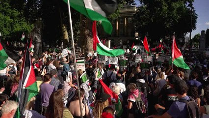 Outrage in London: Protesters Oppose Palestine Action Crackdown