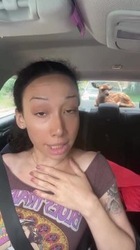 Woman Rescues Stranded Fawn on Interstate