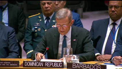 Canciller urgió al Consejo de Seguridad de la ONU actuar sin demora ante la crisis en Haití