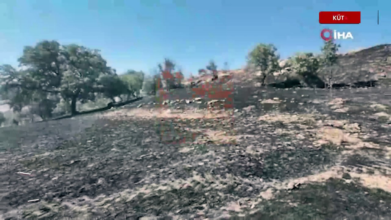 Kütahya'daki orman yangını kontrol altına alındı