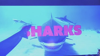 Shark celebrity infested waters 2025 advert