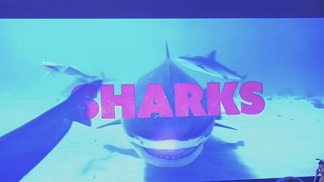 Shark celebrity infested waters 2025 advert