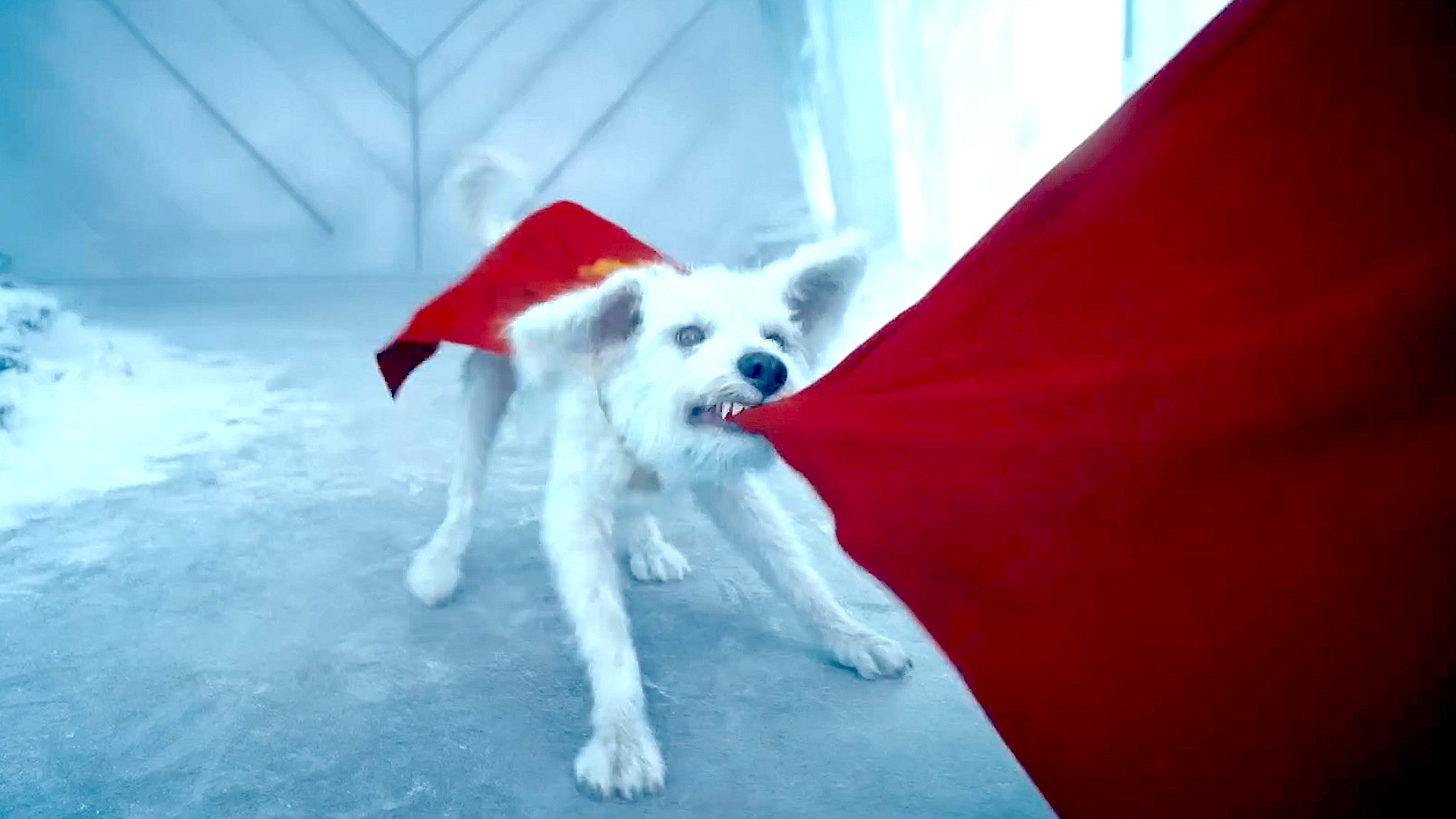 Bad Dog, Big Laughs: Watch Krypto Cause Trouble at Superman’s Fortress