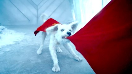 Bad Dog, Big Laughs: Watch Krypto Cause Trouble at Superman’s Fortress