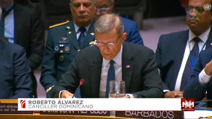 Canciller pidió a la ONU actuar actuación con urgencia en Haití | Noticias & Mucho MAS