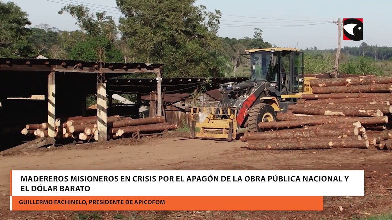 Madereros misioneros en crisis por el apagón de la obra pública nacional y el dólar barato