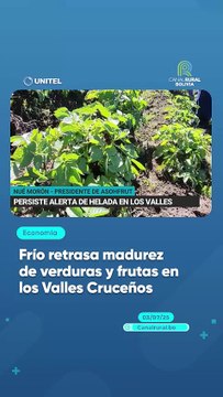 Frío retrasa madurez de verduras y frutas en los Valles Cruceños