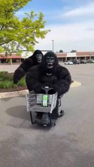 gorilla time banana street prank with gorilla donkey kong banana man and others funny comedy skit