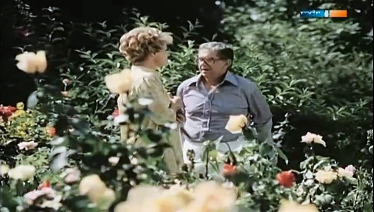 Aber Doktor (DDR 1979)