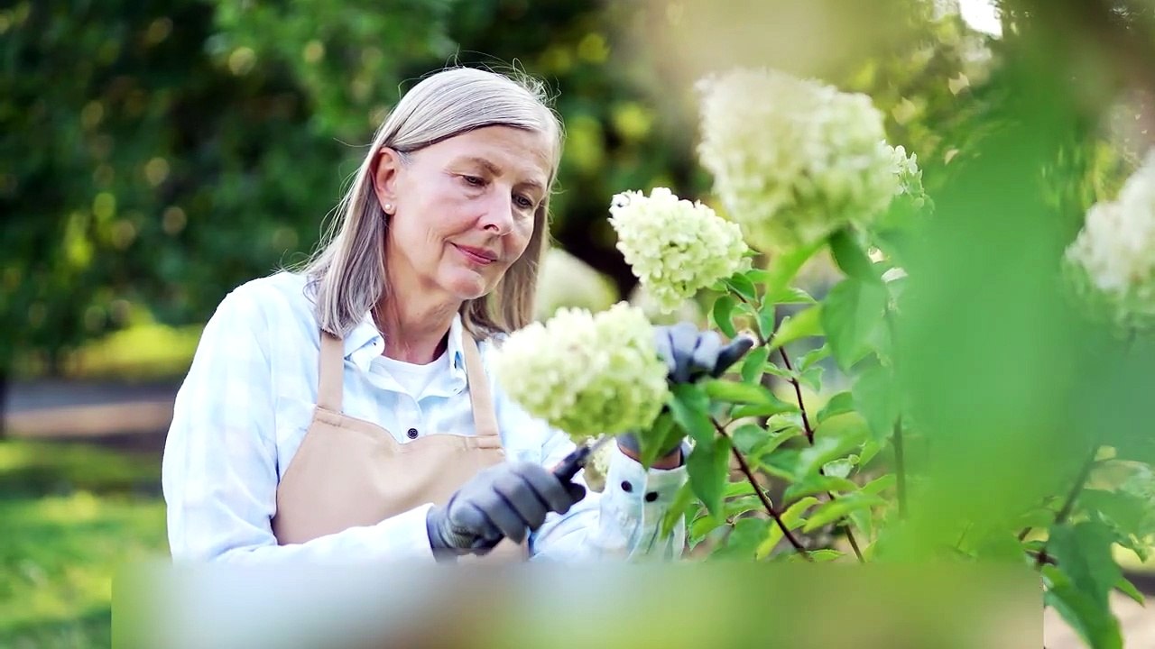 Ready to Sell Your Raleigh Home Fast? Watch These 3 Must-Know Tips