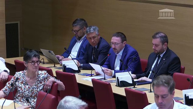 Commission du développement durable : L’approche « Une seule santé » et la dimension territoriale des politiques de santé-environnement - Mercredi 2 juillet 2025