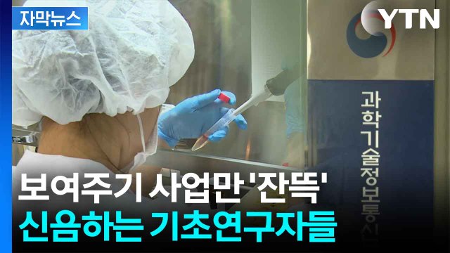 [자막뉴스] ‘수조 원’ 국제사업에...기초과학은 '0원' / YTN